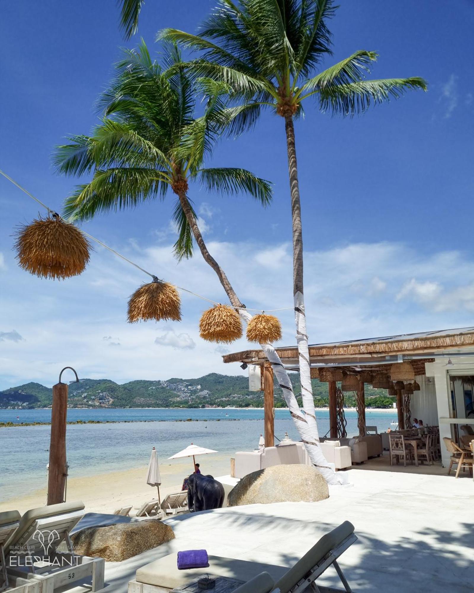 Elephant Beach Club & Resort Samui Chaweng  Exteriér fotografie